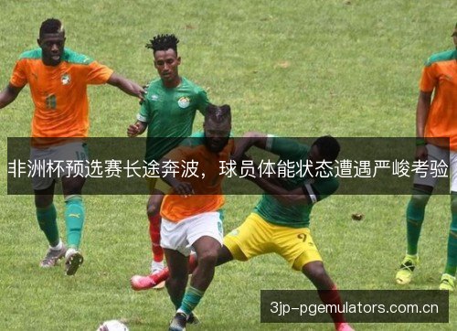 非洲杯预选赛长途奔波，球员体能状态遭遇严峻考验